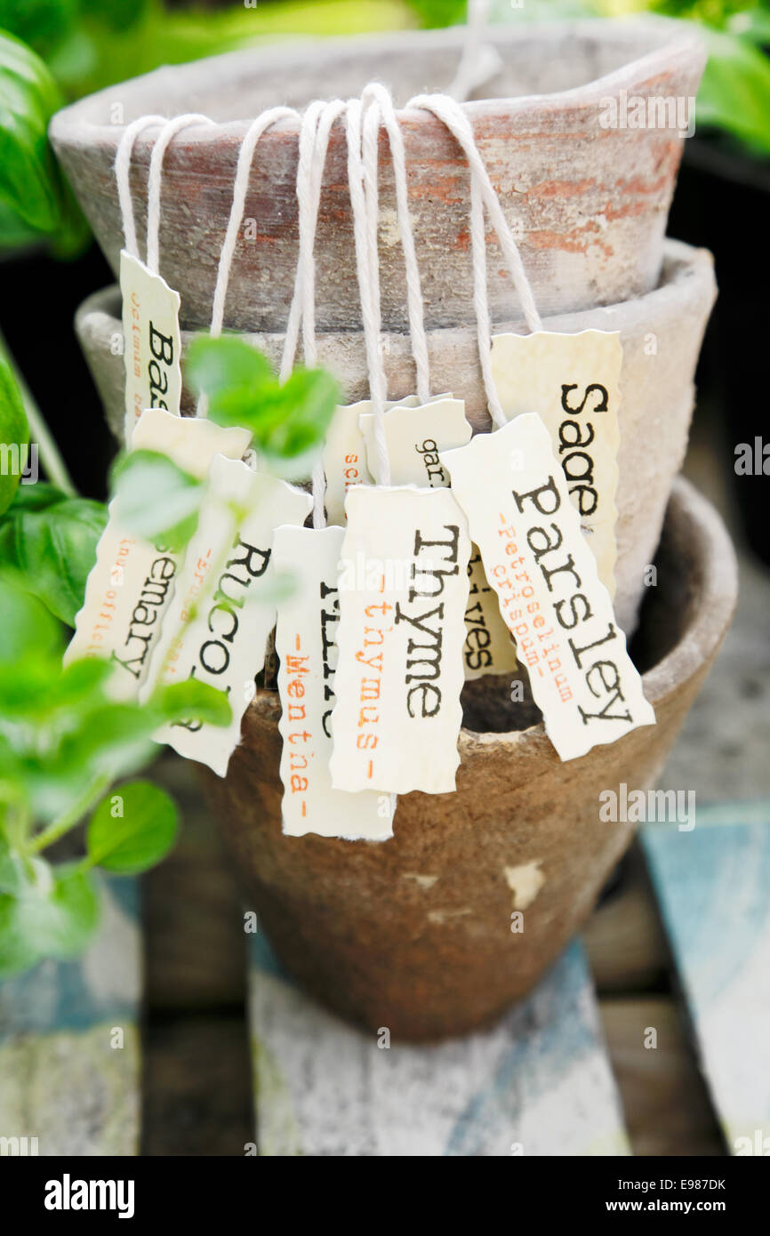 Some different Herb labels hanging on vintage plant pots Stock Photo