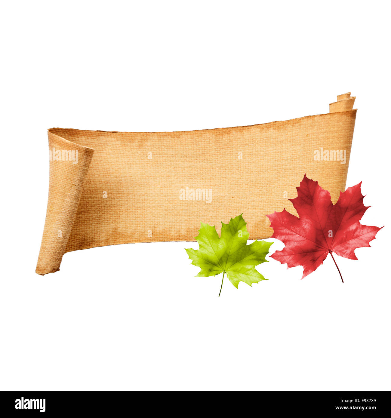 Vintage Paper Fall Memo Banner or Board with two leaves in red and green. With copyspace and blank Label for your own description Stock Photo