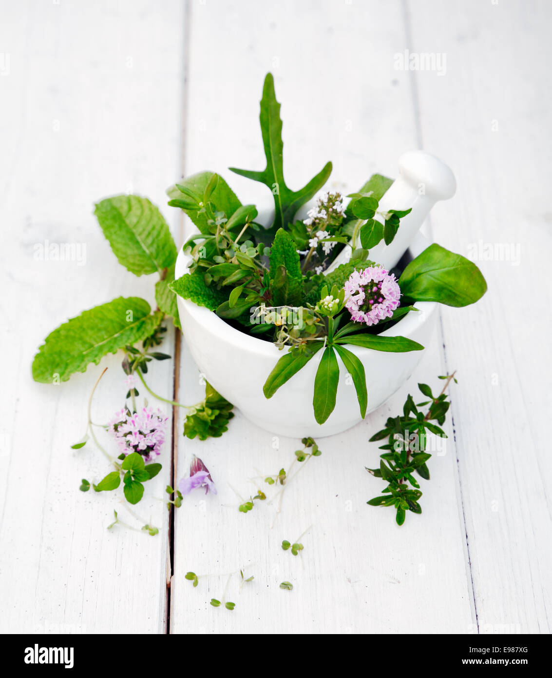 Flowering Assorted Herbs in a Mortar with pestle on white wooden background Stock Photo