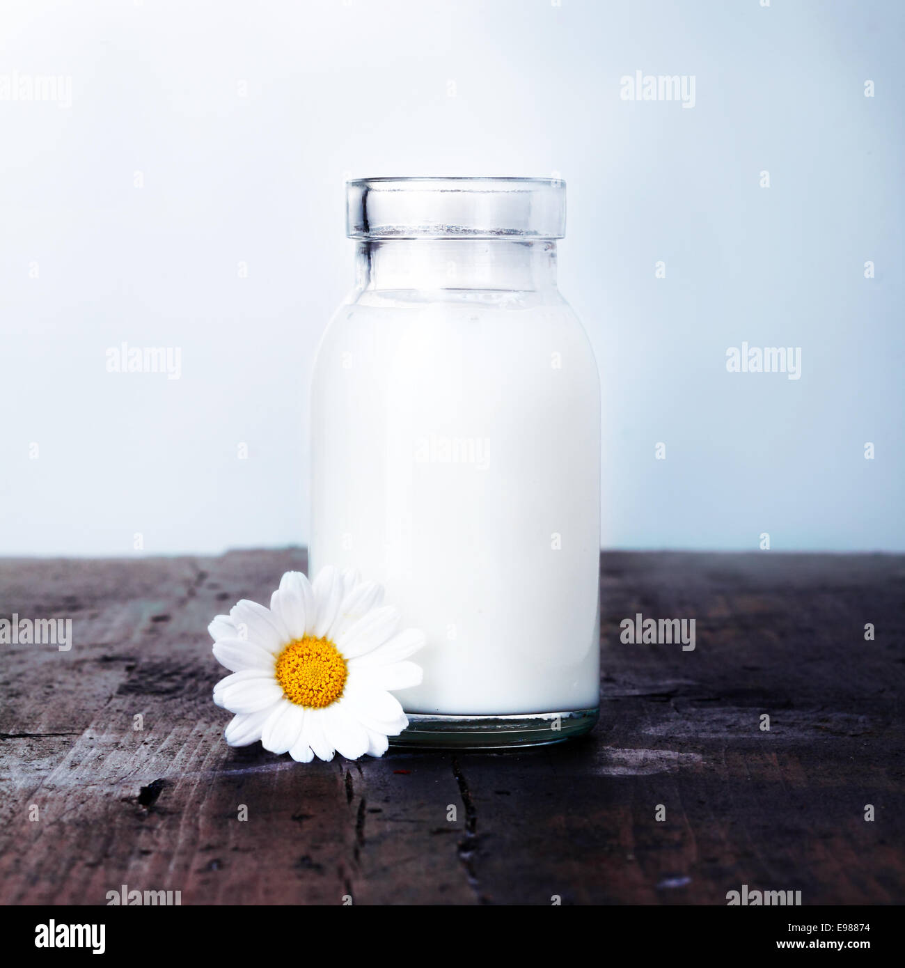 https://c8.alamy.com/comp/E98874/carafe-of-milk-and-a-daisy-set-on-an-outdoor-table-ready-for-a-refreshing-E98874.jpg