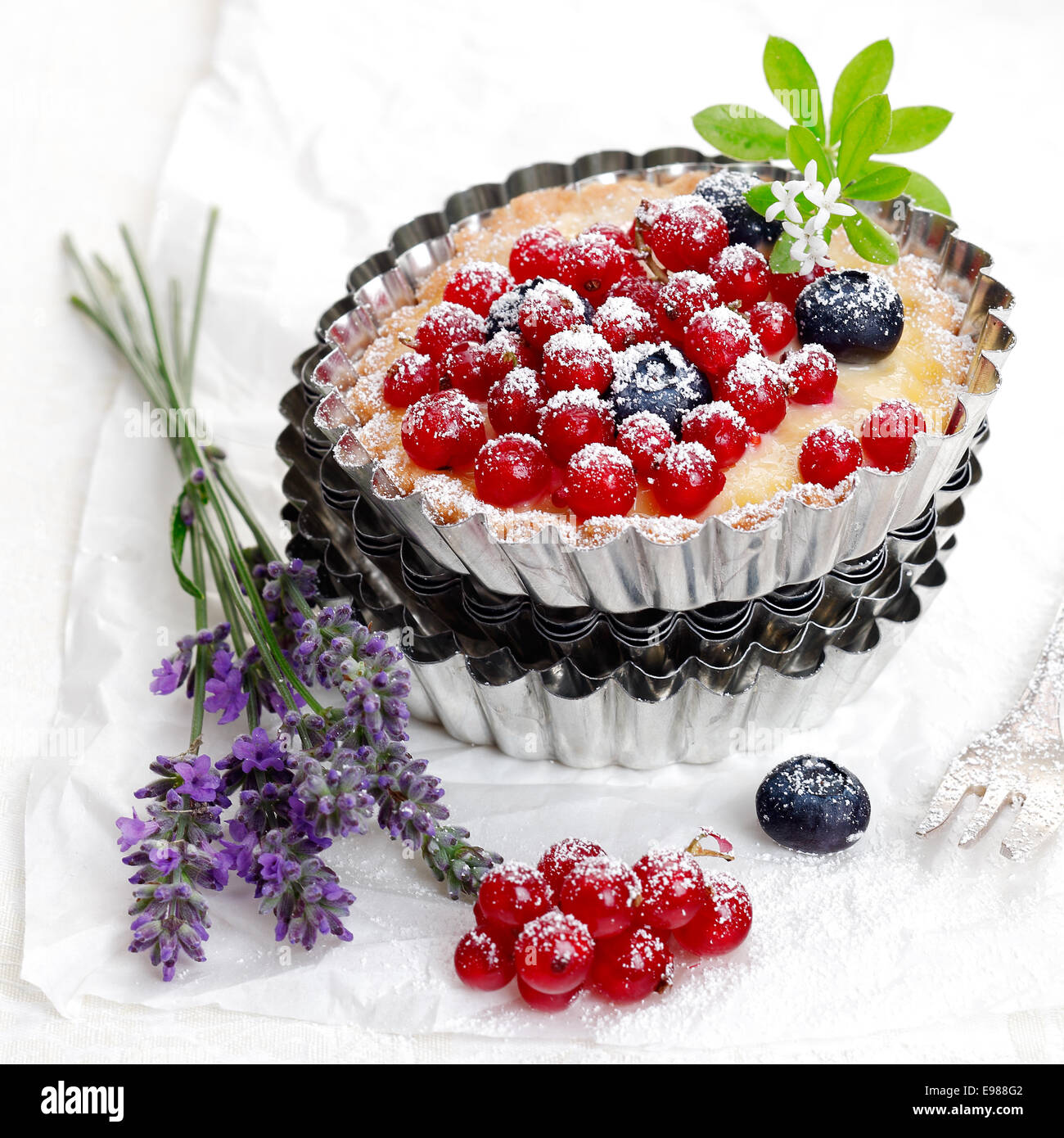 Scrumptious freshly baked red currant and blueberry tart in a decorative fluted metal pie pan with a bunch of fresh lavender Stock Photo