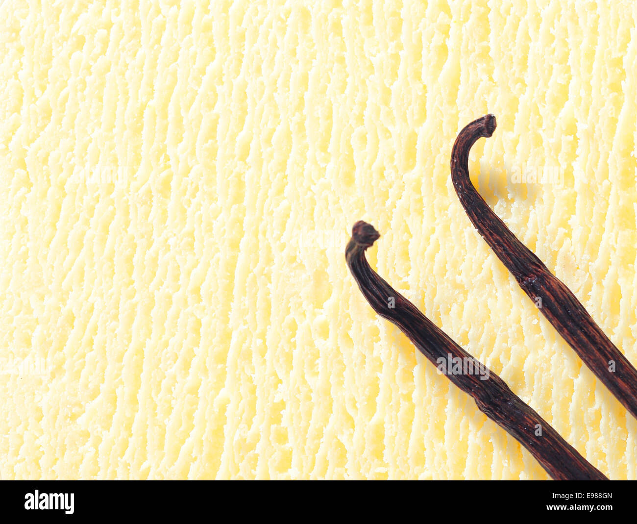 Closeup of a creamy icecream texture with two dried vanilla pods used as a flavouring during preparation Stock Photo