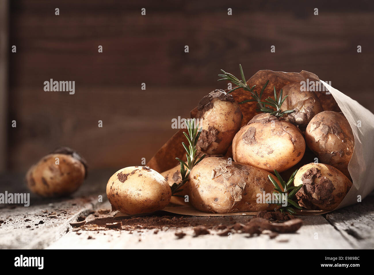 Farm fresh unwashed potatoes with sprigs of fresh rosemary spillijng out of a brown paper bag onto a wooden table at a farmers market Stock Photo