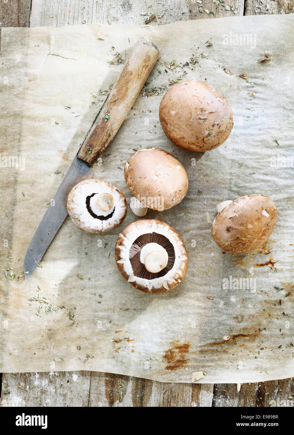 Some brown mushrooms on dirty background with an old knife Stock Photo