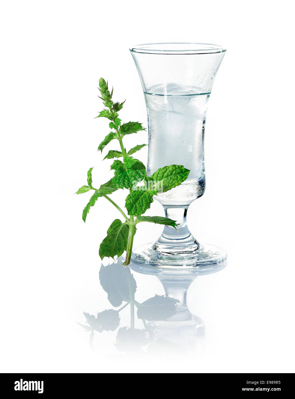 Shot of vodka on ice in a shot glass with a sprig of fresh herbs alongside on a white studio background Stock Photo