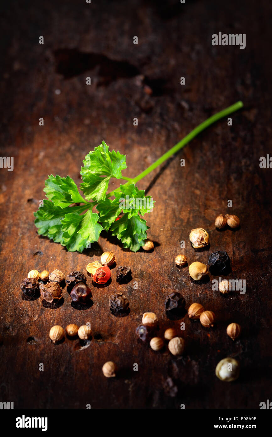 Single fresh leaf of crinkly parsley with scattered peppercorns highlighted on a wooden surface Stock Photo