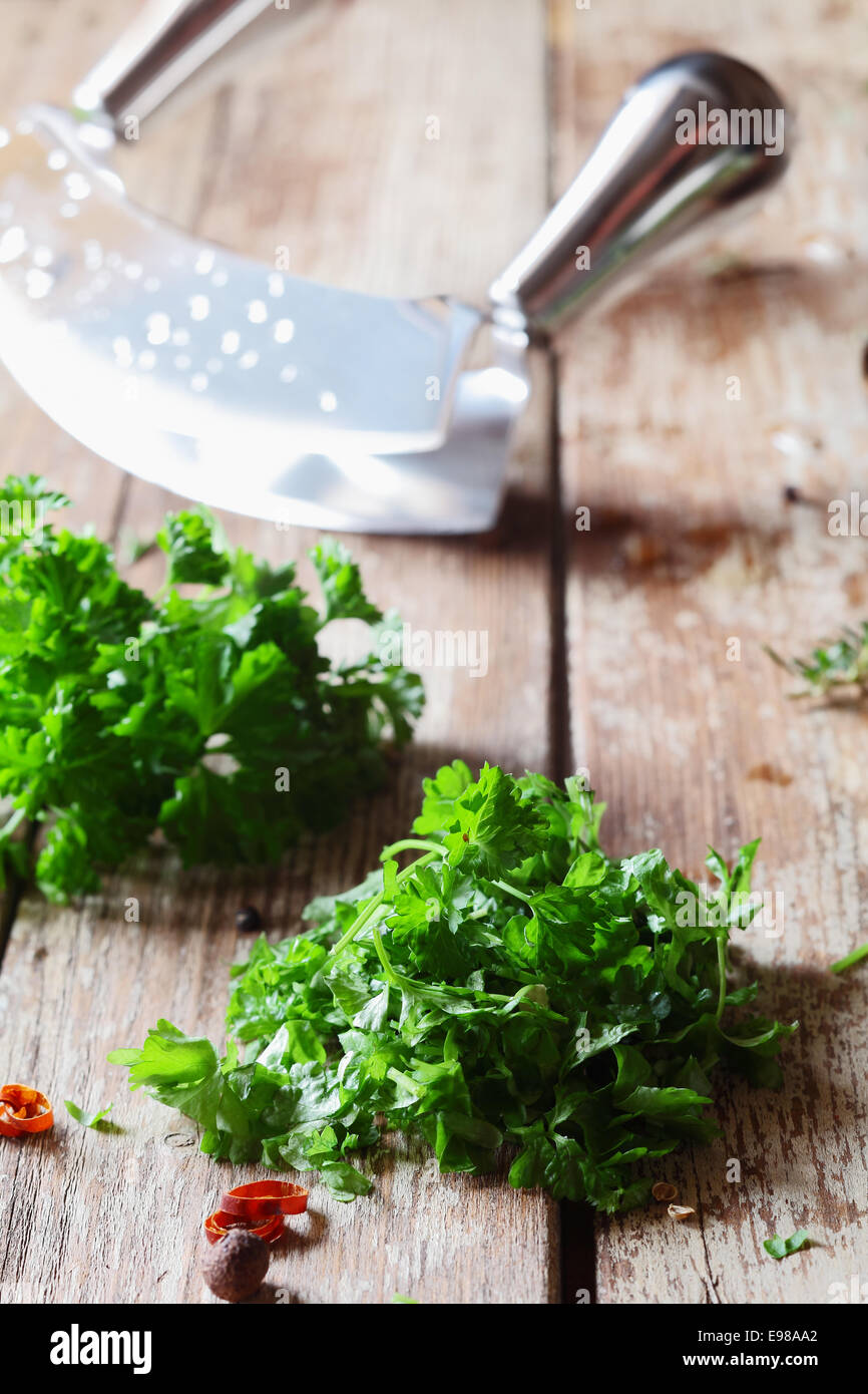 Chopping crinkly leafed parsley with a curved blade on a grunge weathered wooden surface for use as a garnish for cooking Stock Photo