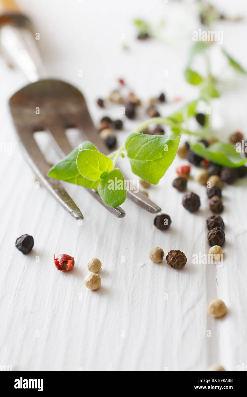 Majoram and a fork, assorted peppercorns on a white wooden table useful as a herb concept background Stock Photo