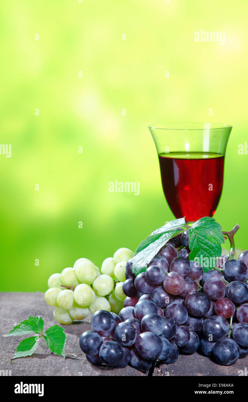 Bunches of fresh red and white grapes with an elegant glass of red wine outdoors against a blurred green backdrop with copyspace Stock Photo