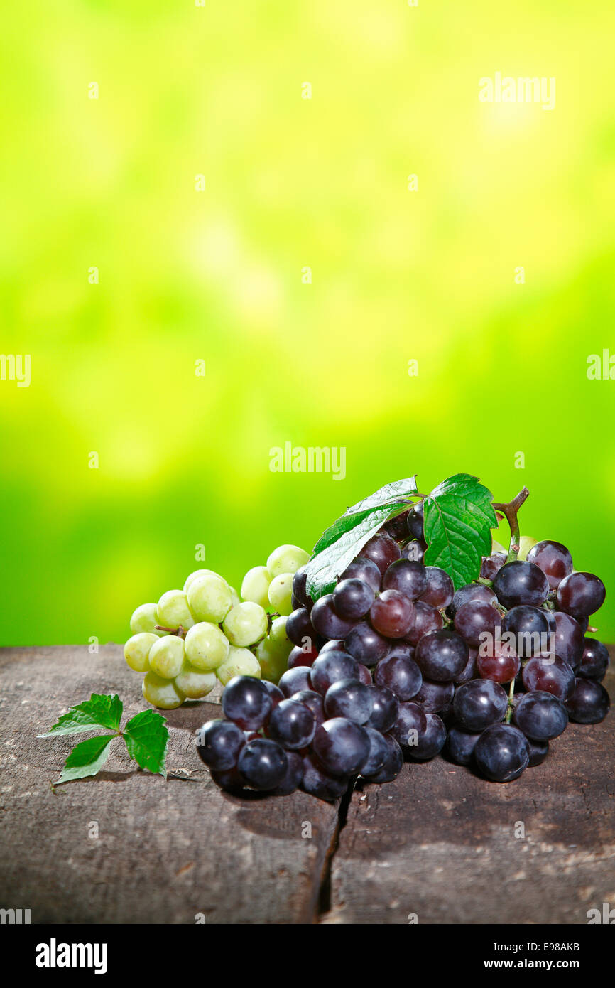 Empty fruit bunches hires stock photography and images Alamy