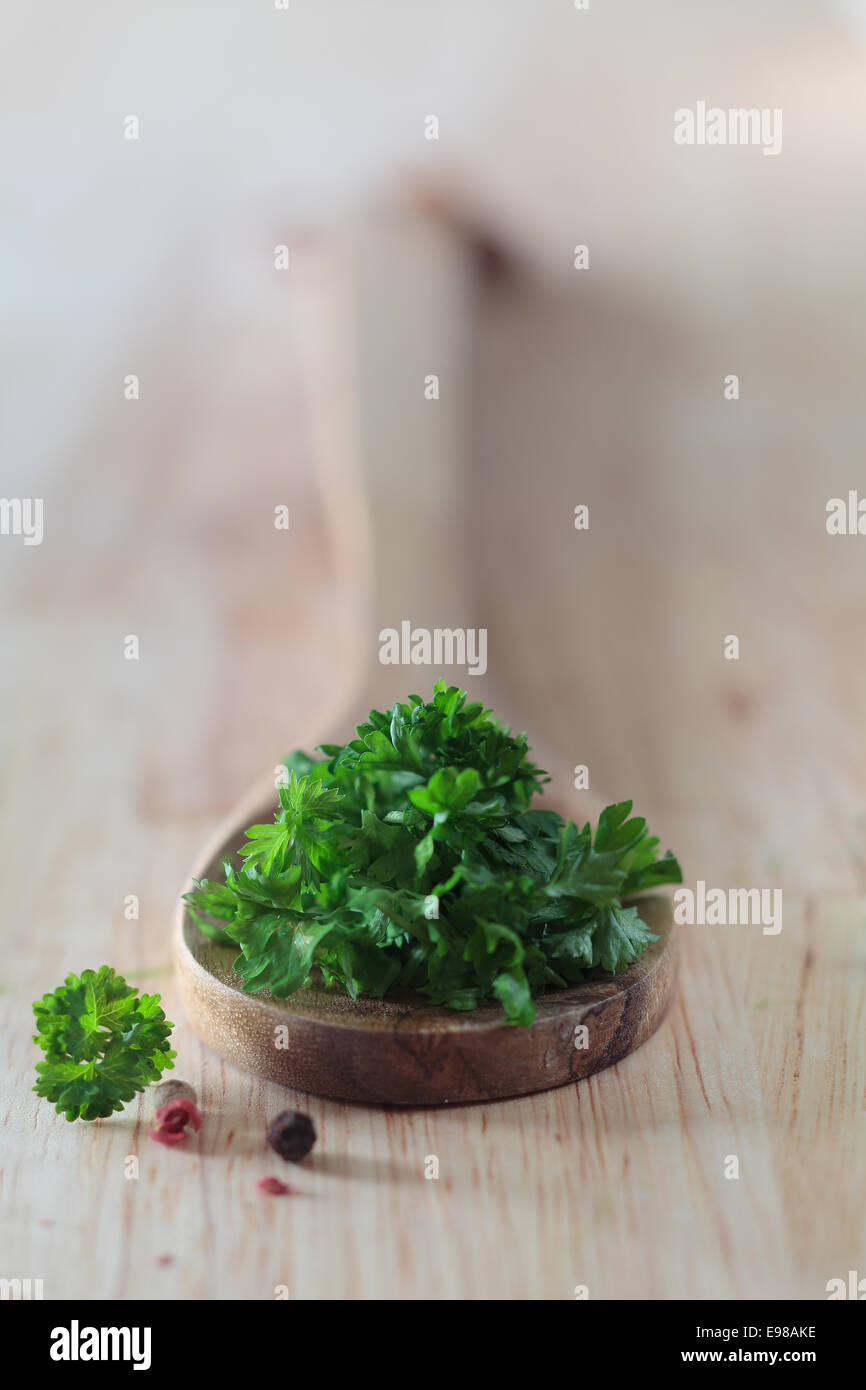 Fresh crinkly parsley leaves on a wooden kitchen spoon with shallow dof and copy space Stock Photo