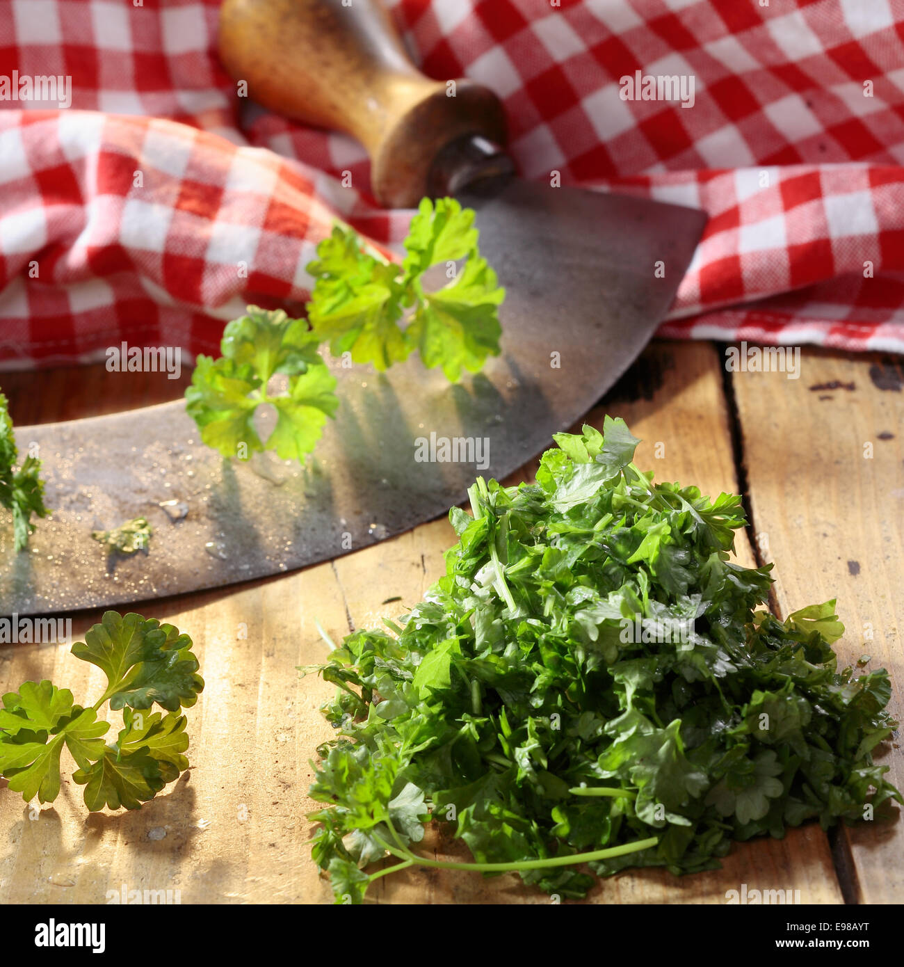Chopping fresh green crinkly leaf parsley on a rustic wooden table using a curved stainless steel rocker blade knife Stock Photo