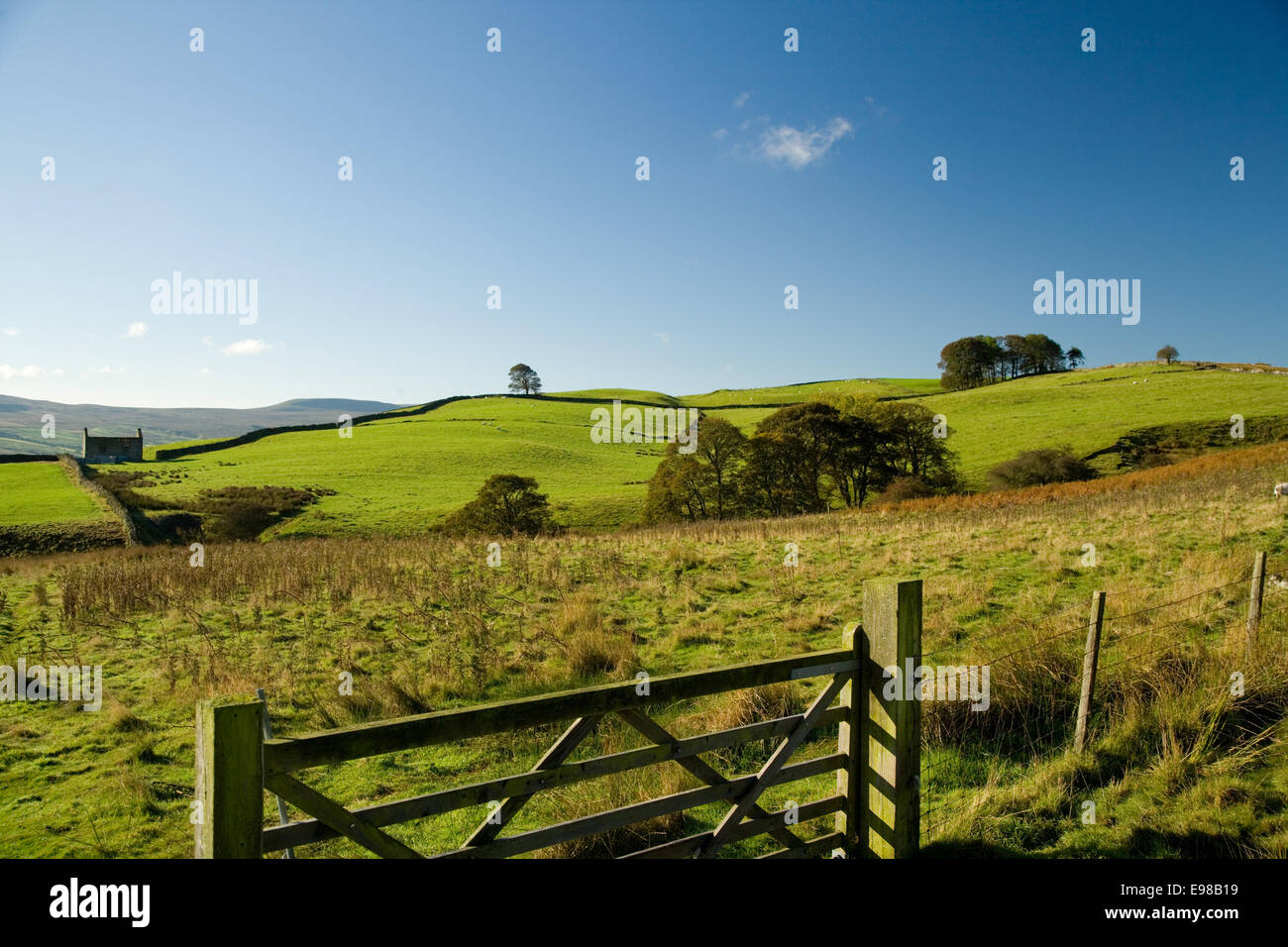 View of the rolling countryside near Carlton-in-Coverdale Yorkshire Dales England. Stock Photo