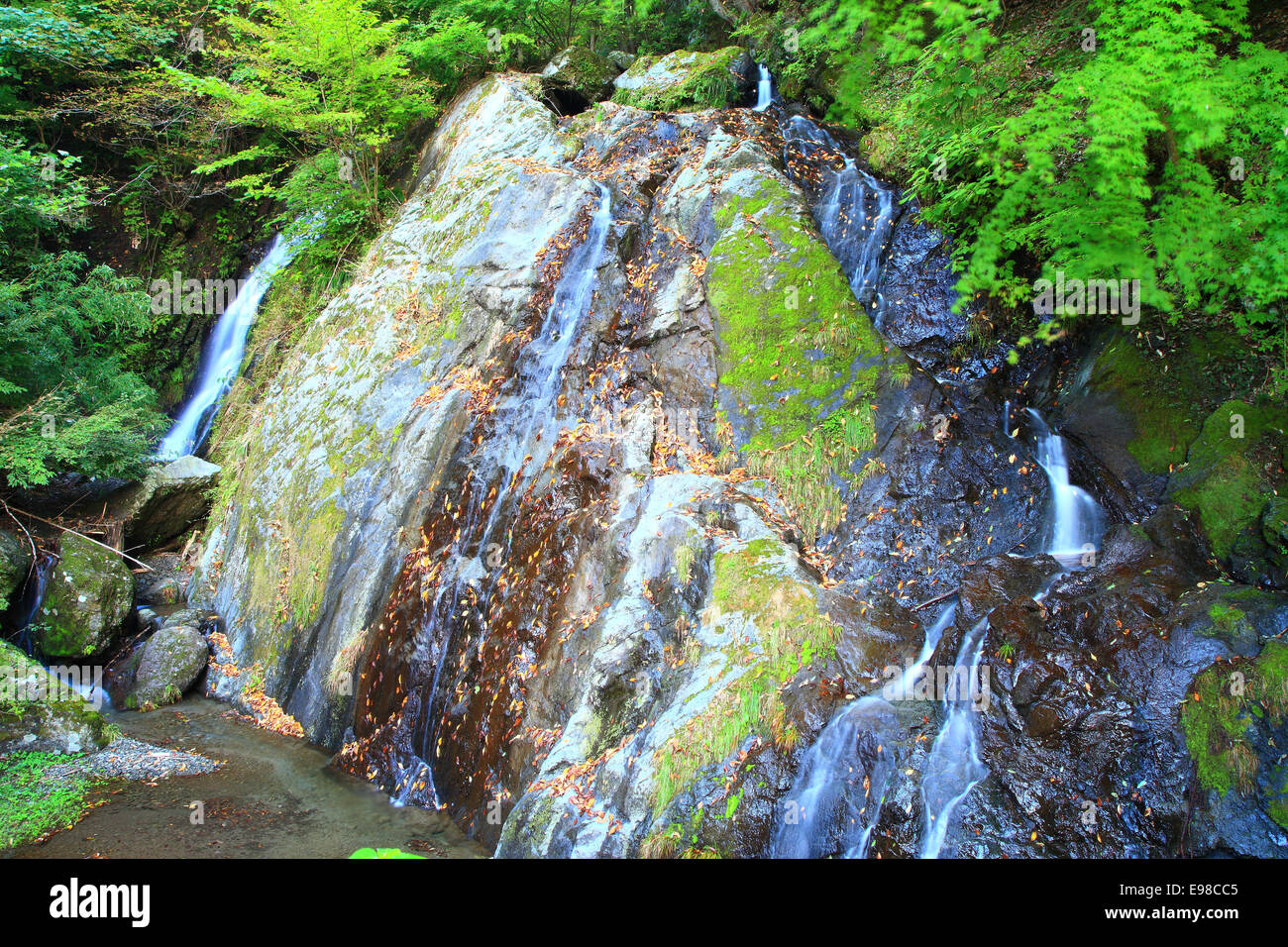 Saitama Prefecture, Japan Stock Photo Alamy