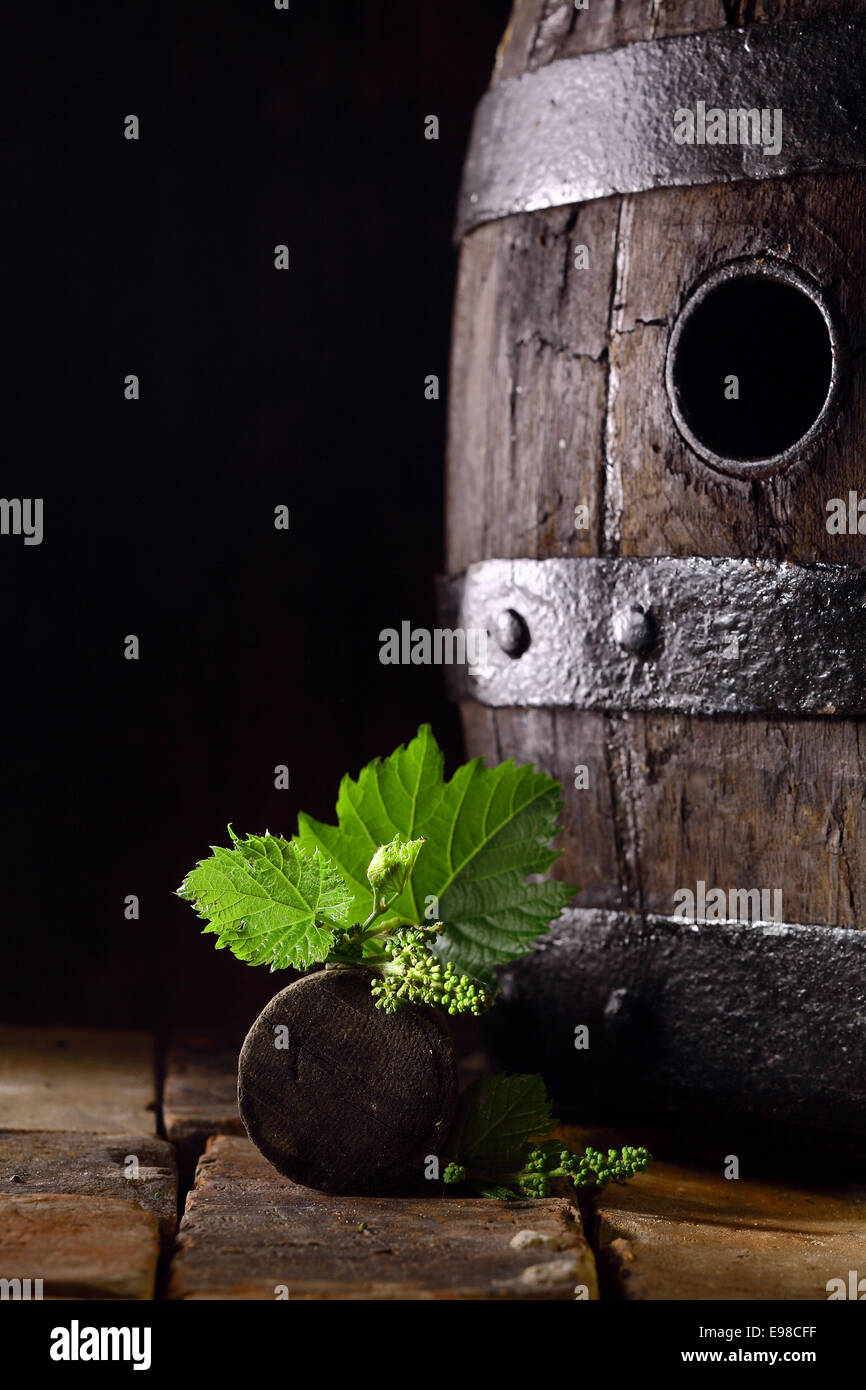 Old oak wine barrel with fresh young vine leaves balanced on the bung