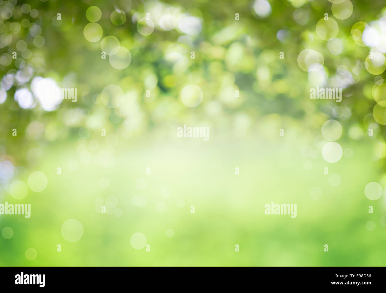 Fresh healthy green bio background with abstract blurred foliage and bright summer sunlight and a central copyspace for your text or advertisment Stock Photo