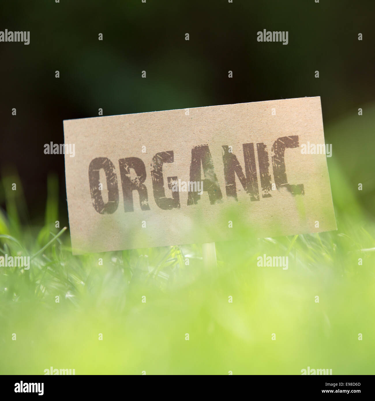 Close-up low angle view of an Organic sign in green grass on farmland denoting an absence of any chemicals being used in that area Stock Photo
