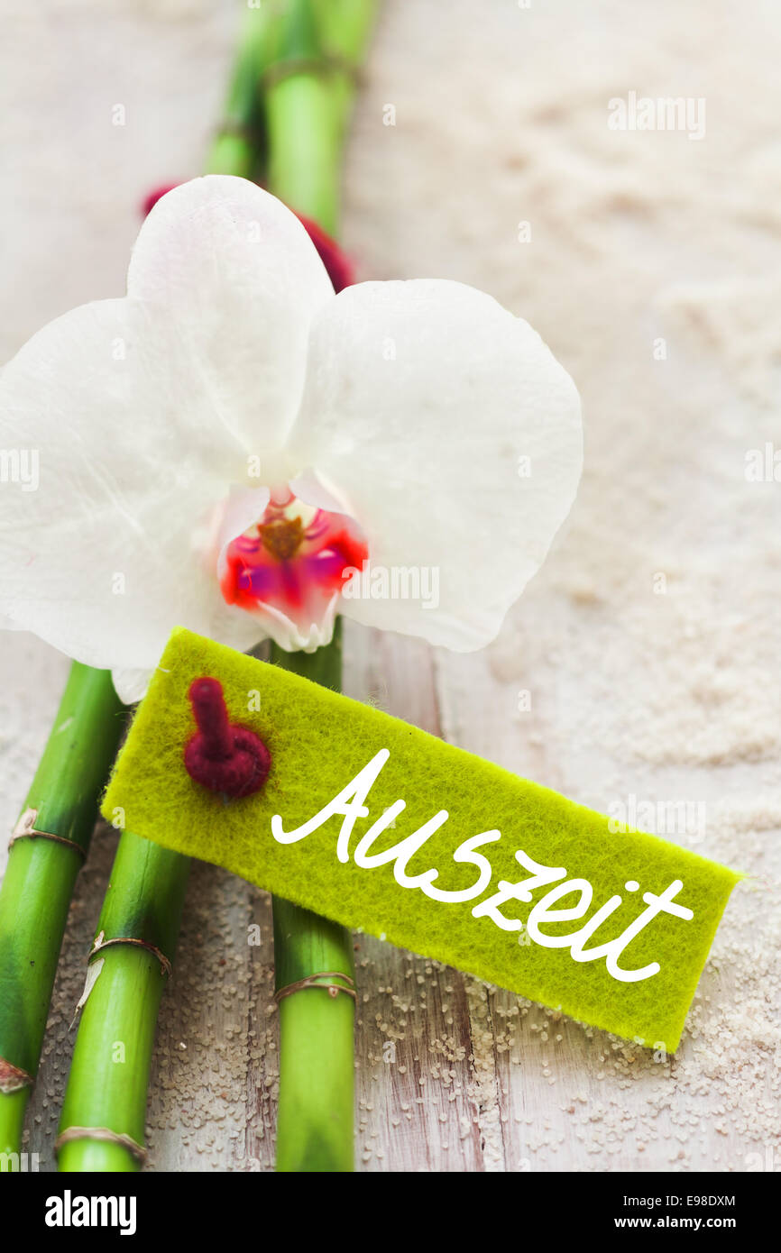 Stems of fresh green bamboo with a beautiful white Phalaenopsis orchid and tag reading Auszeit depicting wellness, spa, purity, Stock Photo