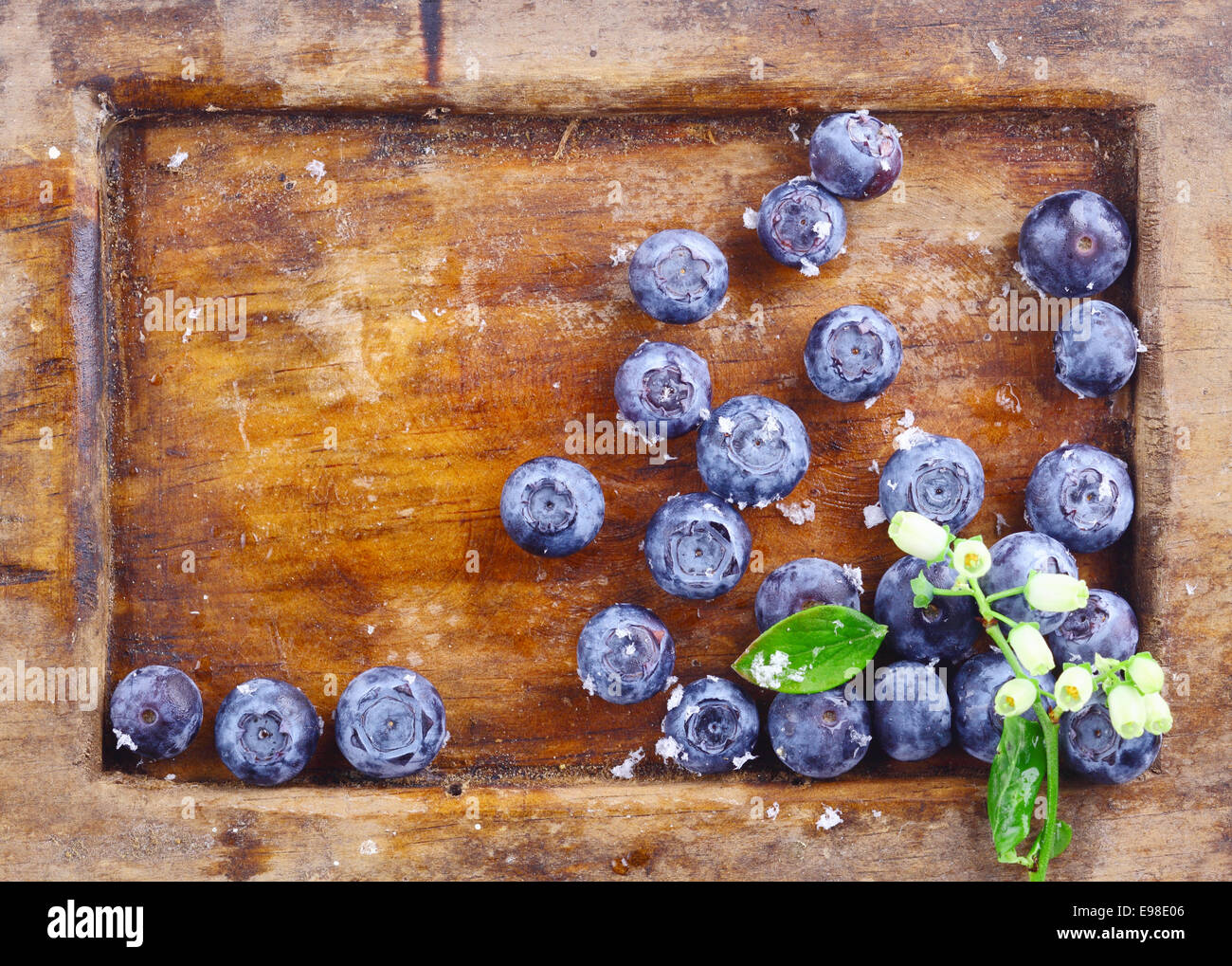 Close-up of a small amount of ripe blueberries or bilberries in an old wooden tray with a small flowery branch Stock Photo