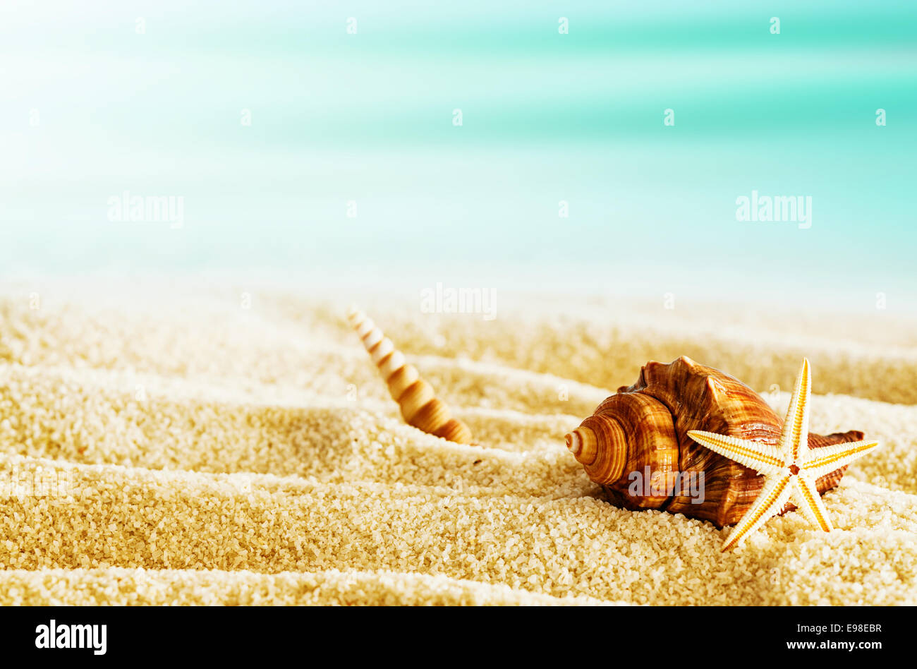 Beautiful tranquil tropical beach with seashells and a starfish lying ...