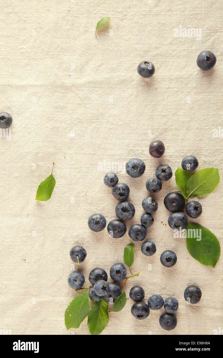 Scattered Fresh Blue Berries on Table. Vitamin-Rich Fruit. Stock Photo