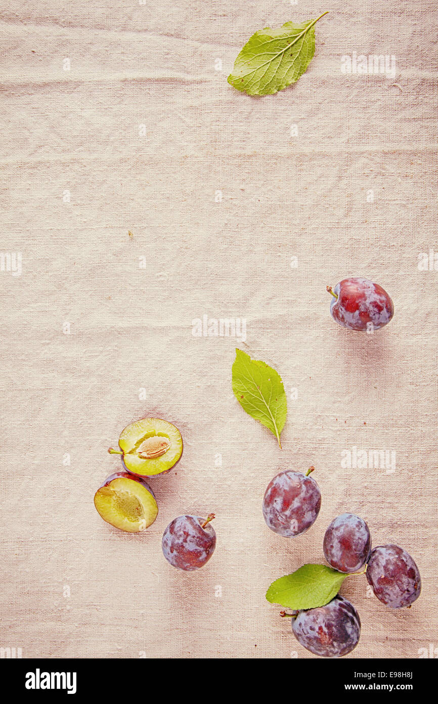 Fresh Ripe Forest Berries Isolated on Off White . Stock Photo