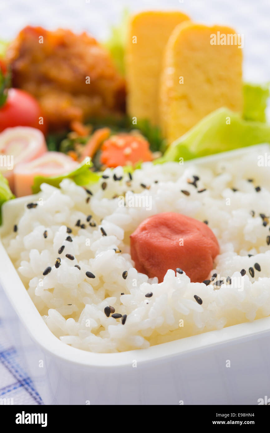 https://c8.alamy.com/comp/E98HN4/japanese-style-bento-lunch-box-E98HN4.jpg