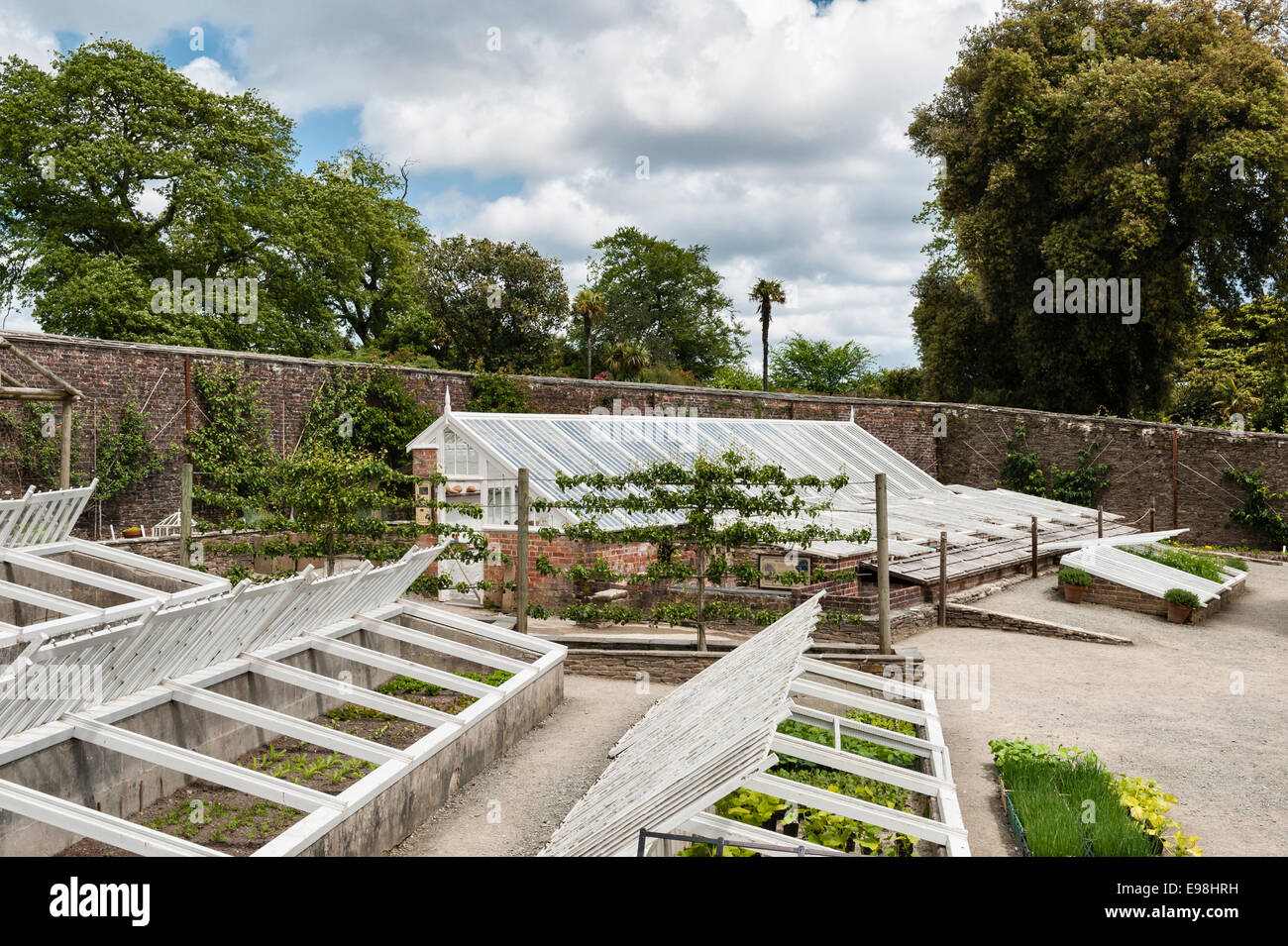 The Lost Gardens of Heligan, Cornwall, UK. Cold frames in the Melon Yard Stock Photo
