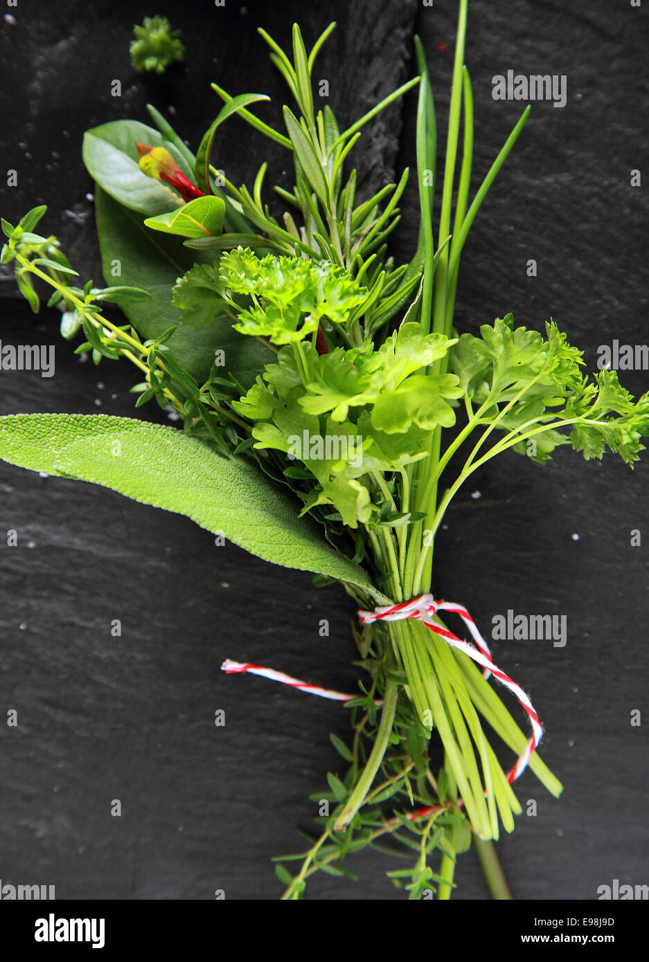 Bouquet garni of assorted fresh herbs tied in a bunch with chives, rosemary, parsley, oregano and coriander for use as an aromatic seasoning in cooking Stock Photo