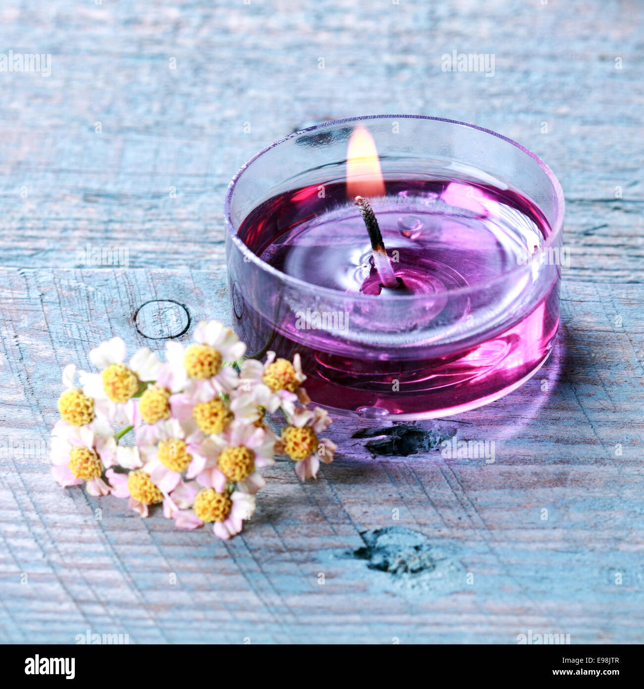 Aromatherapy spa concept with fresh white summer blossoms alongside a fragrant translucent purple burning candle with plant extracts and essential oils Stock Photo