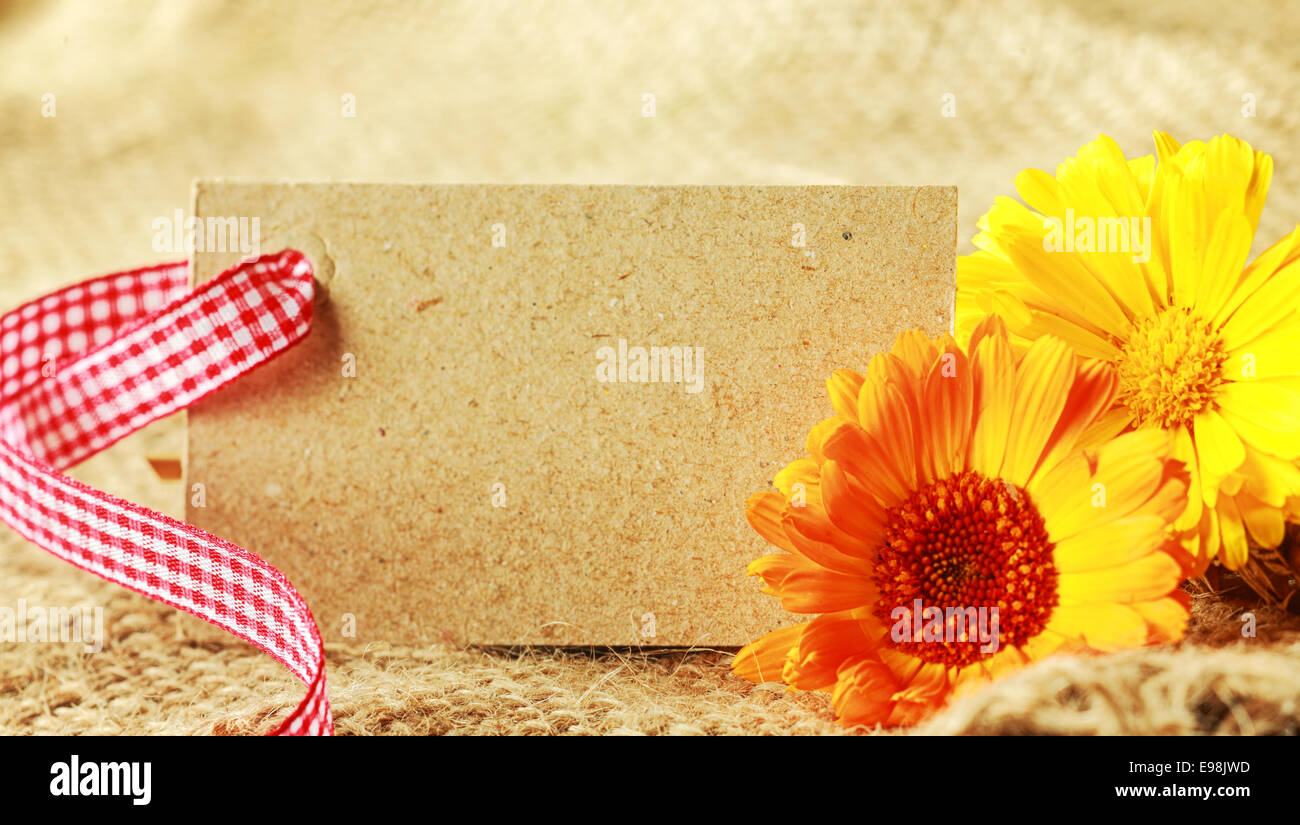 Beautiful floral gift tag background with an empty natural brown label tied with rustic red and white checked ribbon with two colorful yellow sunflowers on hessian fabric Stock Photo
