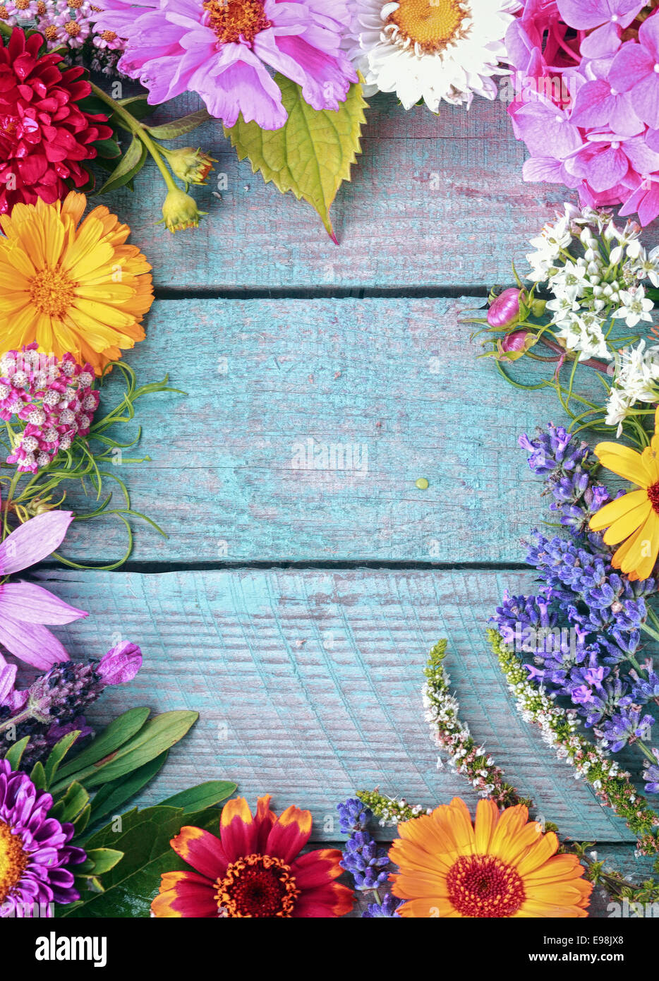 Download Beautiful fresh floral border of assorted colorful summer ...