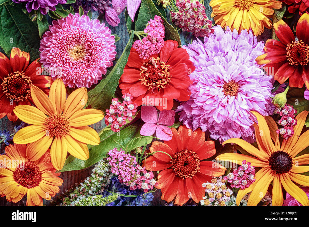 Festive vibrant floral background with a large arrangement of colorful summer flowers in rainbow colors including dahlias and gerbera daisies for celebrating a special occasion or holiday Stock Photo