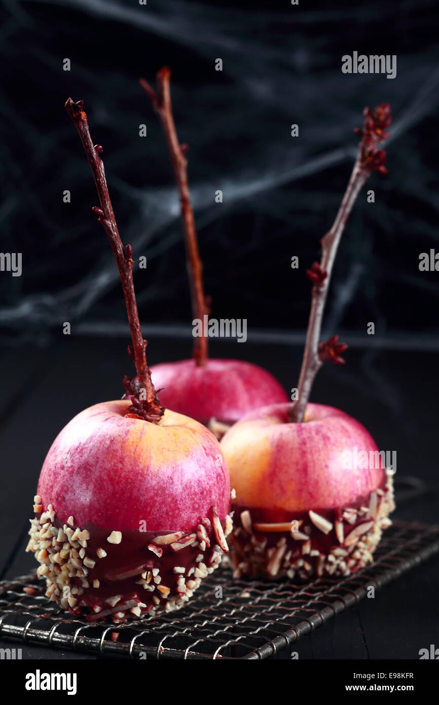 Fresh red apples decorated for Halloween dipped in chocolate and sprinkles and draped in spider webs, standing on a wire rack to cool Stock Photo
