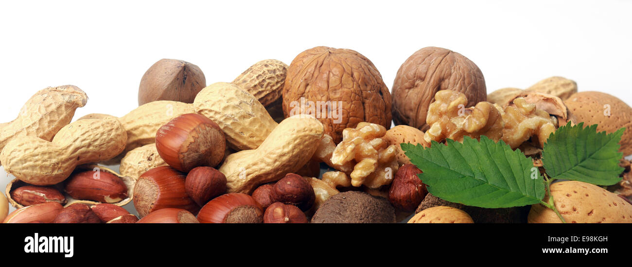Festive banner of mixed whole fresh nuts in their shells including almonds, hazelnuts, brazil nuts, peanuts and walnuts both shelled and whole with green leaves on white with copyspace, closeup view Stock Photo