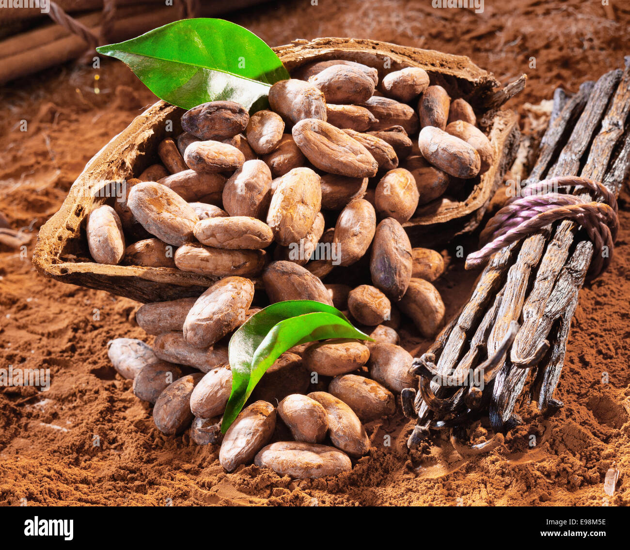 Cacao shell hires stock photography and images Alamy