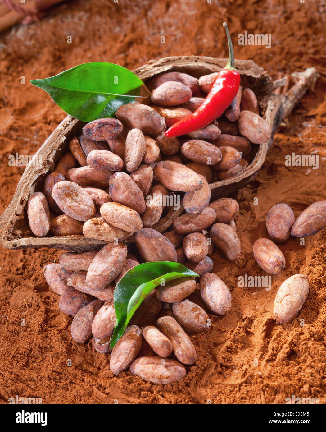 Cacao beans in a shell with cocoa leaves and beans and chili Stock Photo