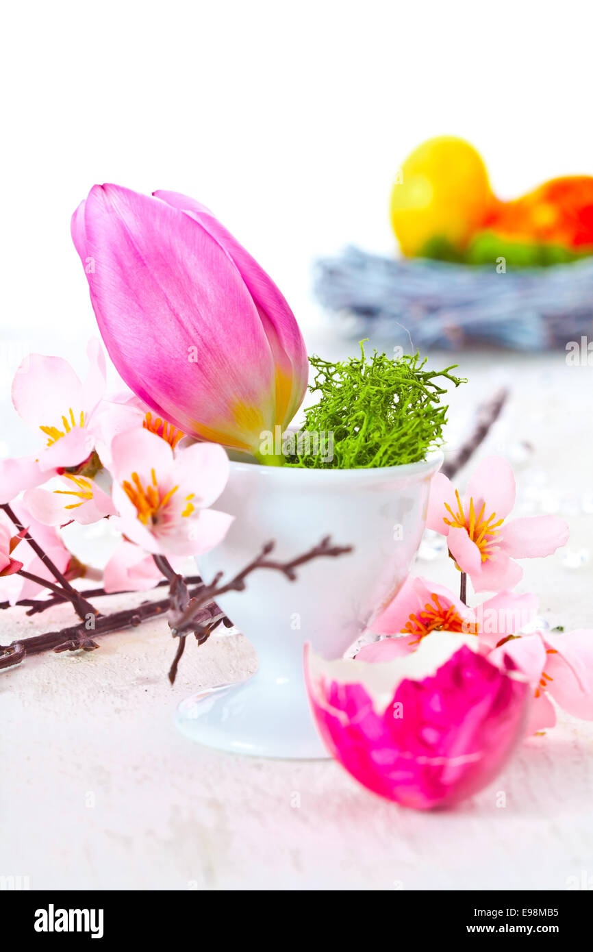 Tulip Flower in an Eggcup with a cherry blossom tree and a easter nest in the background for spring decoration Stock Photo
