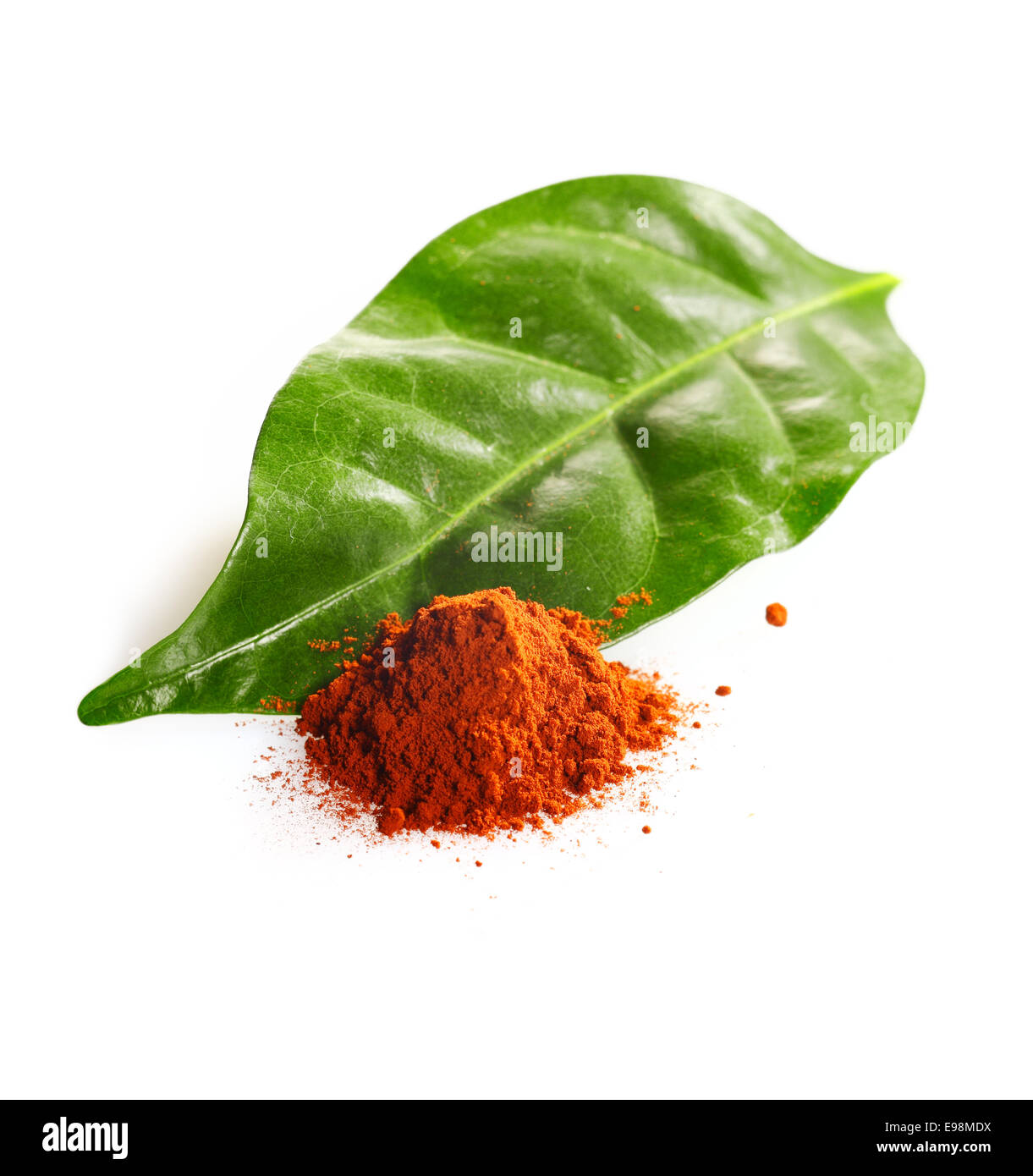 Cacao leaf and cacao powder isolated on white Stock Photo Alamy