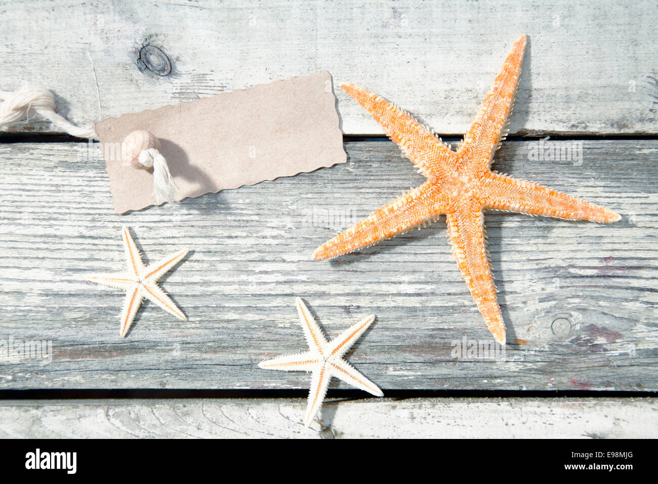 Nautical starfish background with three sea stars on weathered timber planks with a blank label for your text Stock Photo