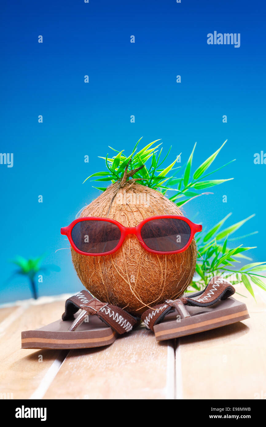 Coconut sunglasses hotsell