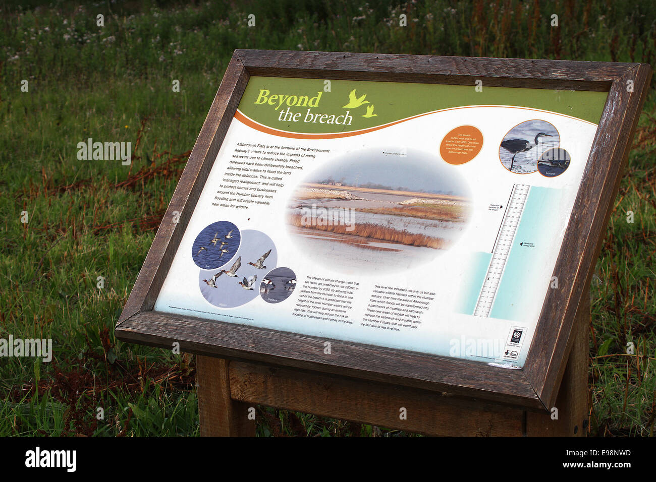 Notice board showing environmental work Stock Photo Alamy