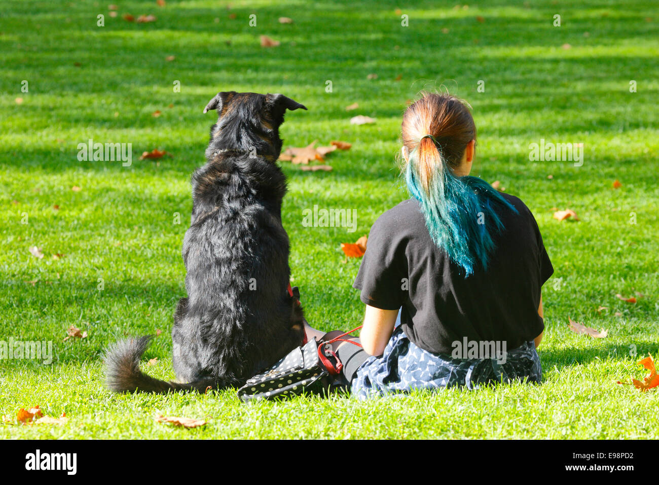 Girl and the dog resting on the grass Stock Photo