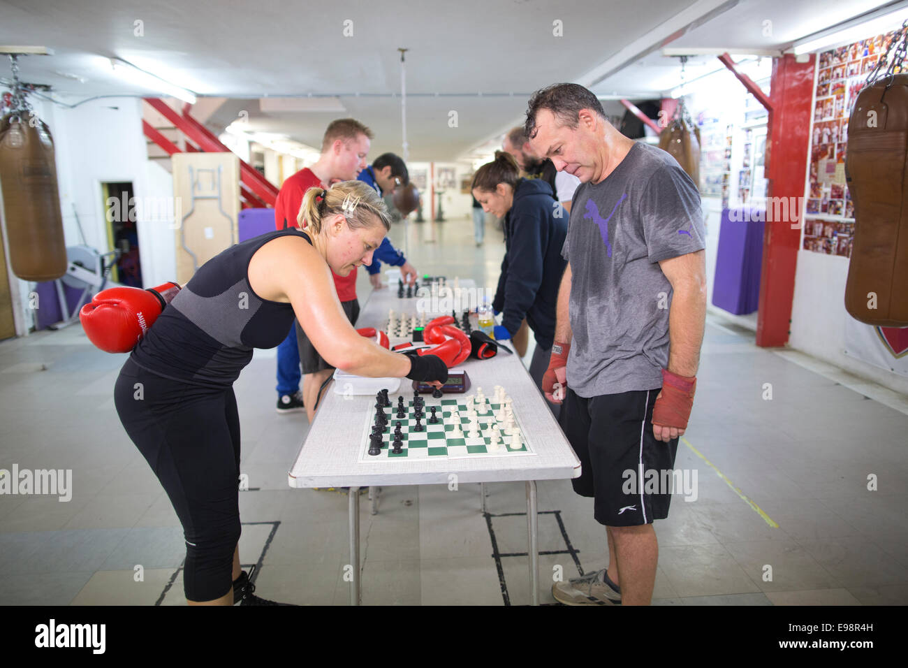 Chessboxing, boxing and chess board game being played alternately as part  of a new surreal sport, Islington, London, UK Stock Photo - Alamy