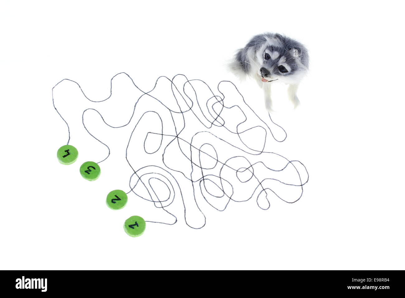 Labyrinth game fox with four routes Stock Photo Alamy