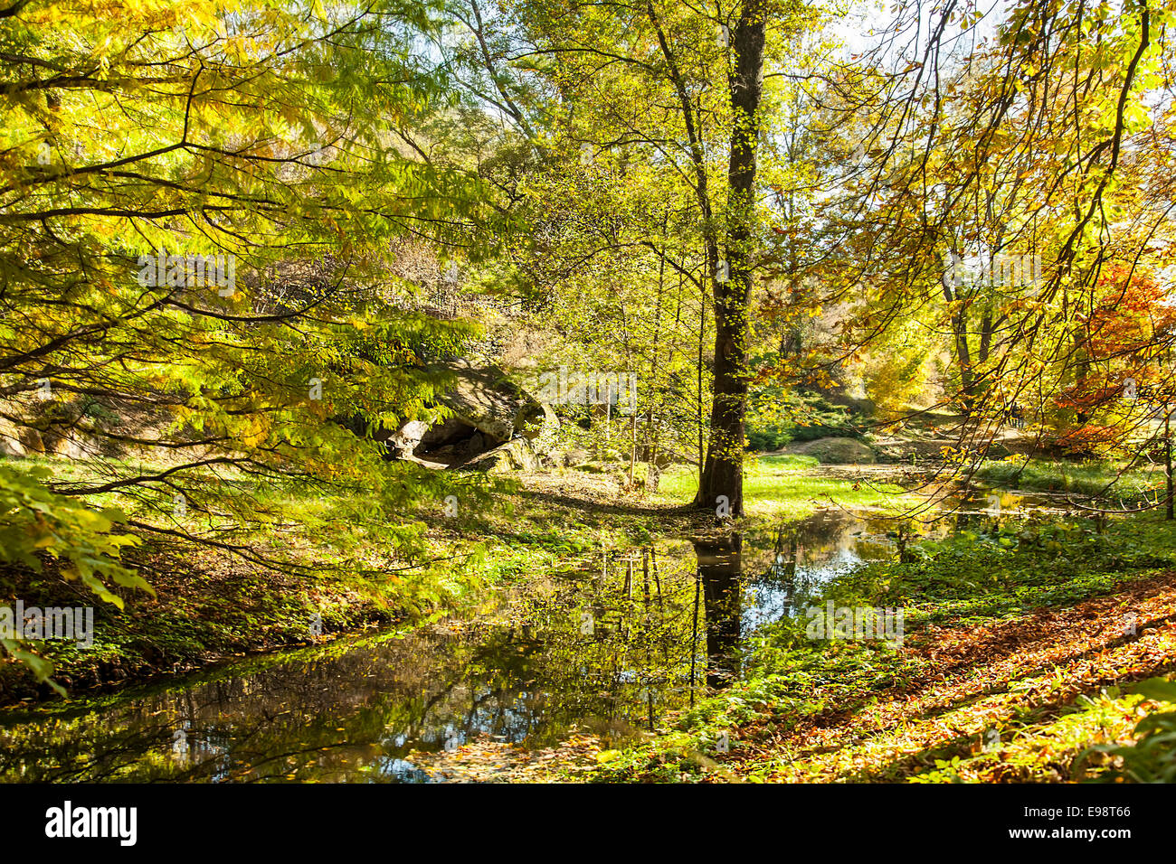 Autumnal forest landscape with river Stock Photo - Alamy