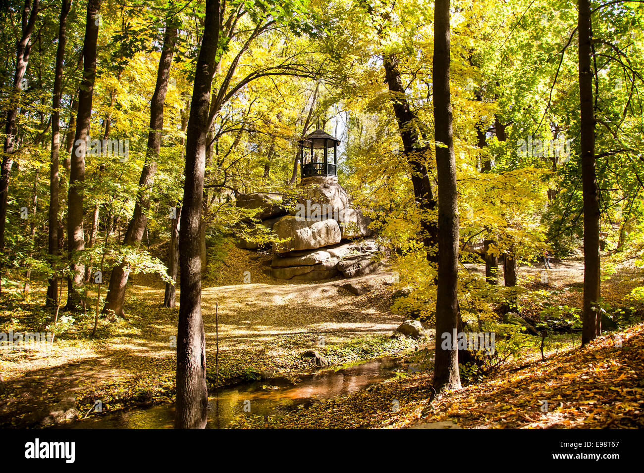 Gazebo in october autumn forest Stock Photo - Alamy