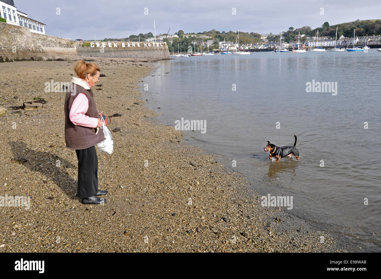 Woman with pet dog on beach Stock Photo