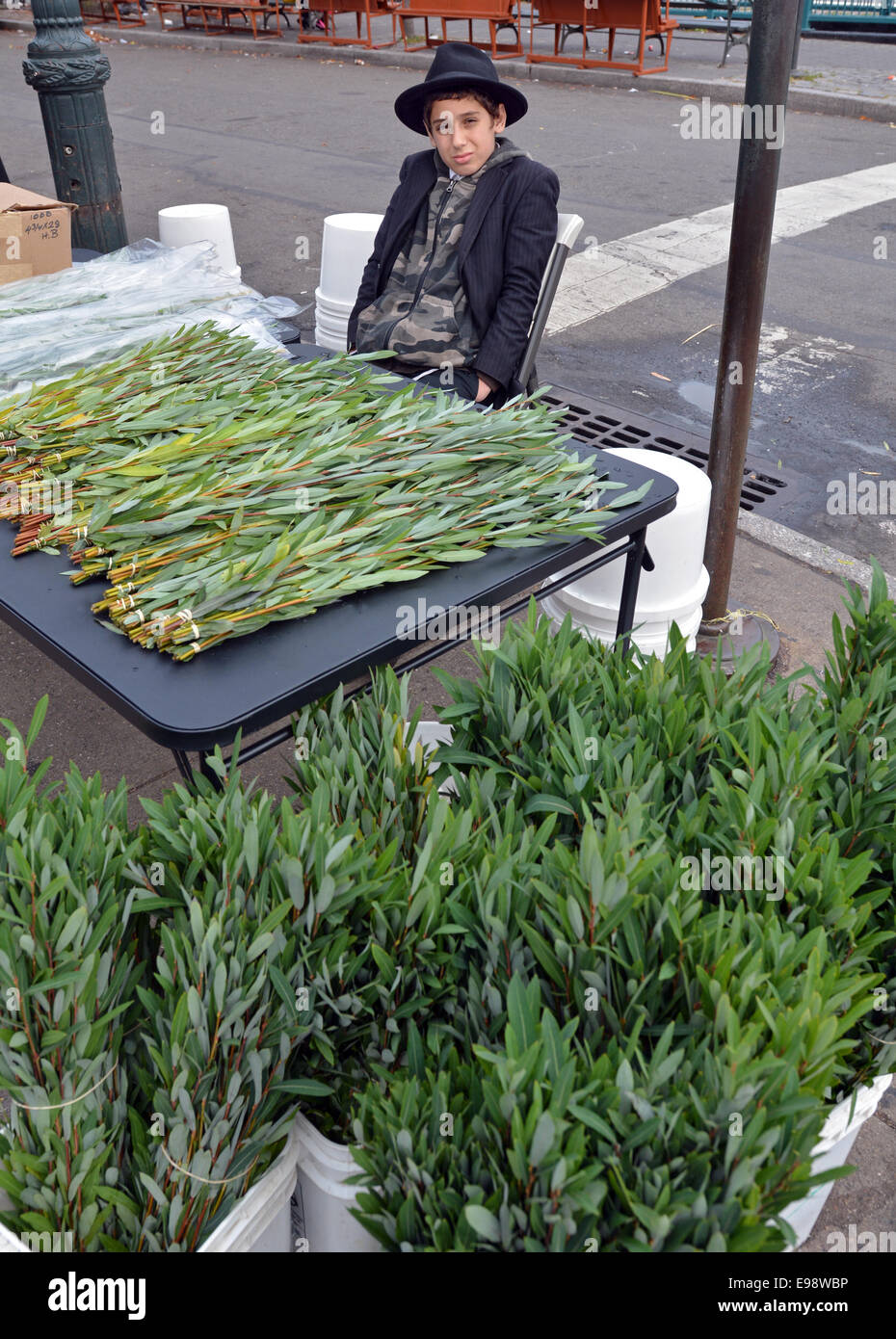 Young Jewish boy selling arovos - willows - on the holiday of Hoshanna Rabba. In Crown Heights, Brooklyn, New York Stock Photo - Alamy