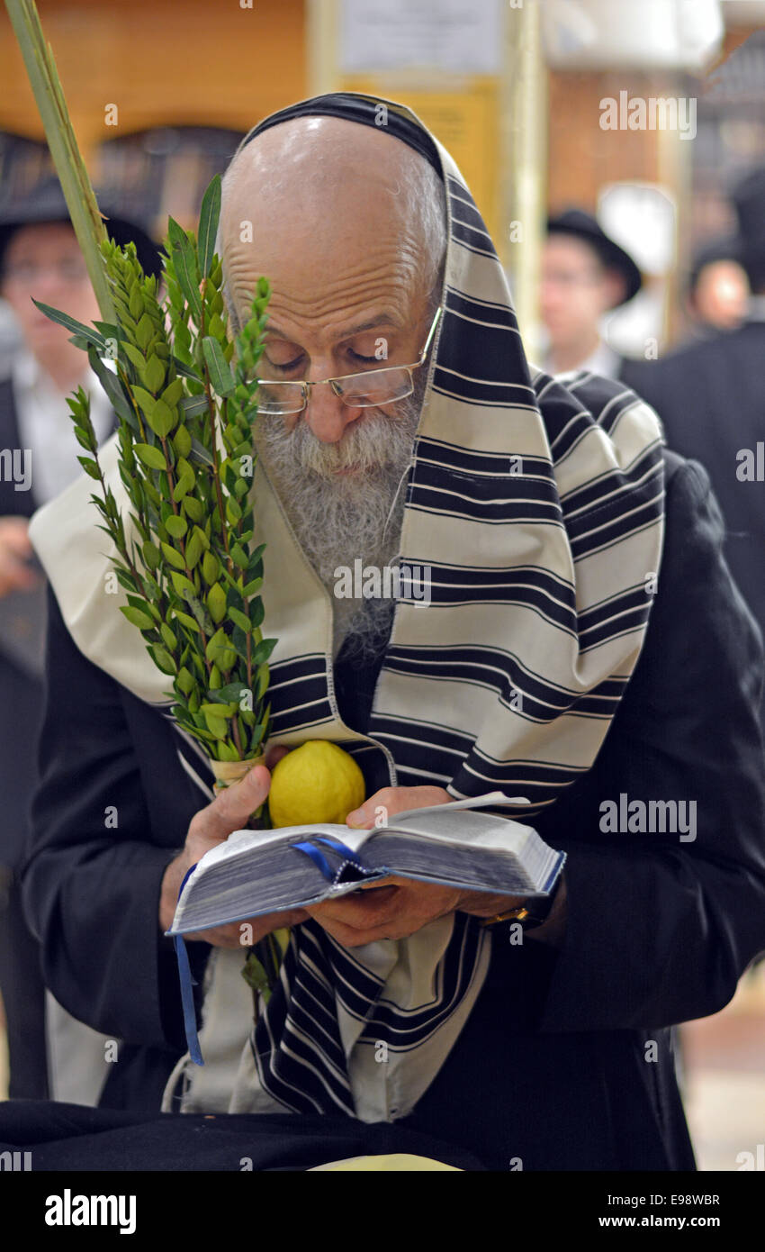 Religious Jewish man praying with an esrog and Lulv during the Jewish holiday of Sukkot at a synagogue in Brooklyn, New York. Stock Photo